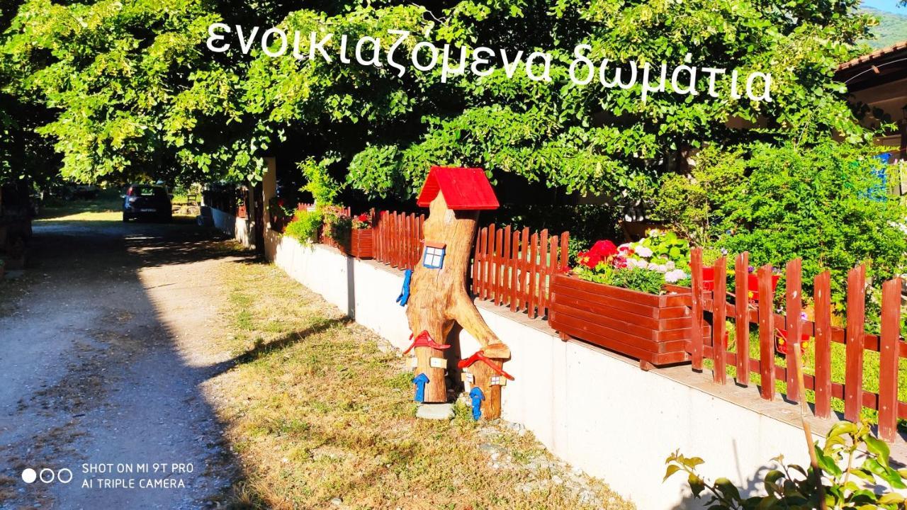 κατερίνα - Katerina *
