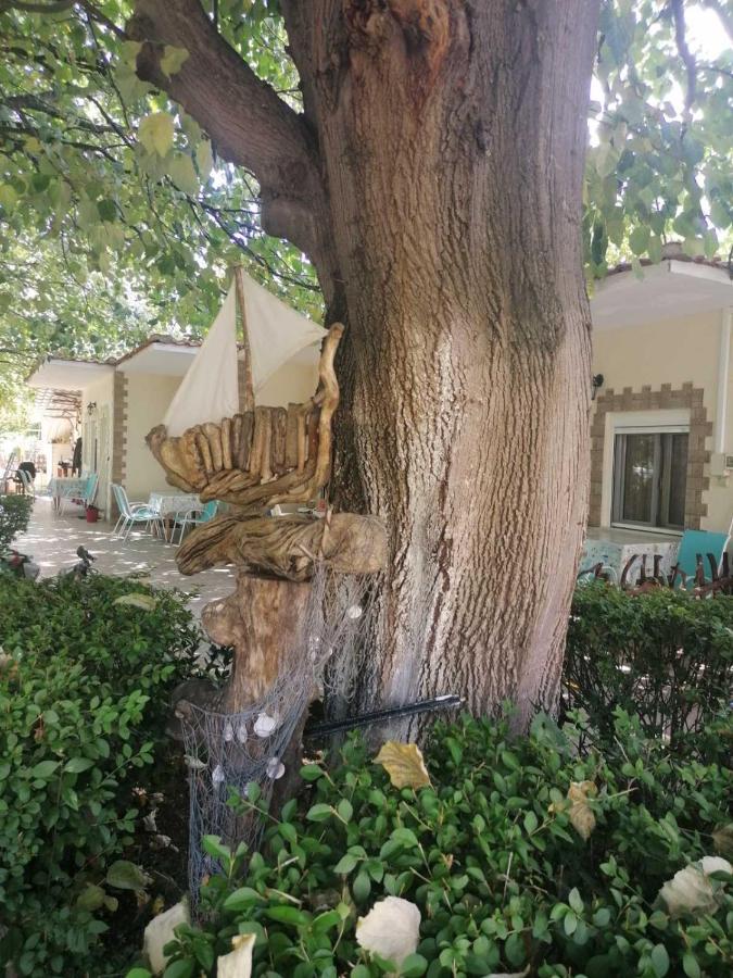 Apartment κατερίνα - Katerina